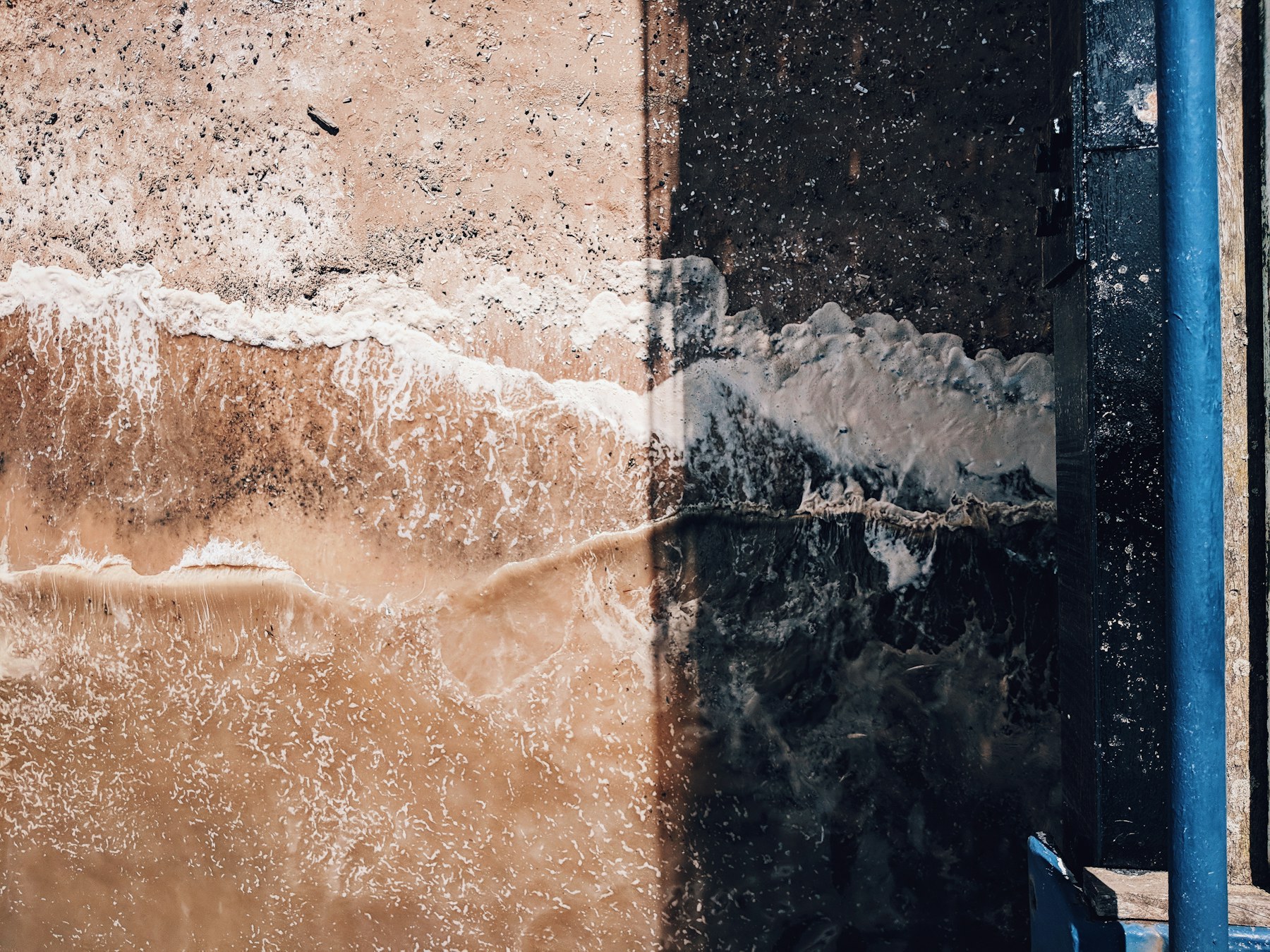 Professional residential indoor water cleanup service